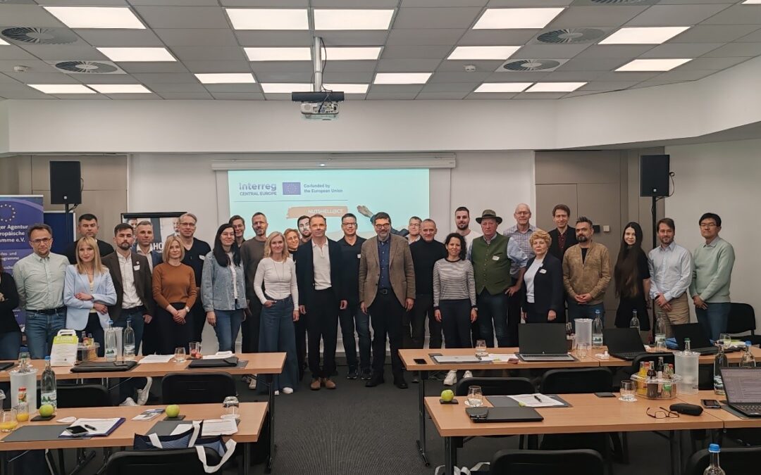 Preparatory steps for the Pilot Actions in CE regions