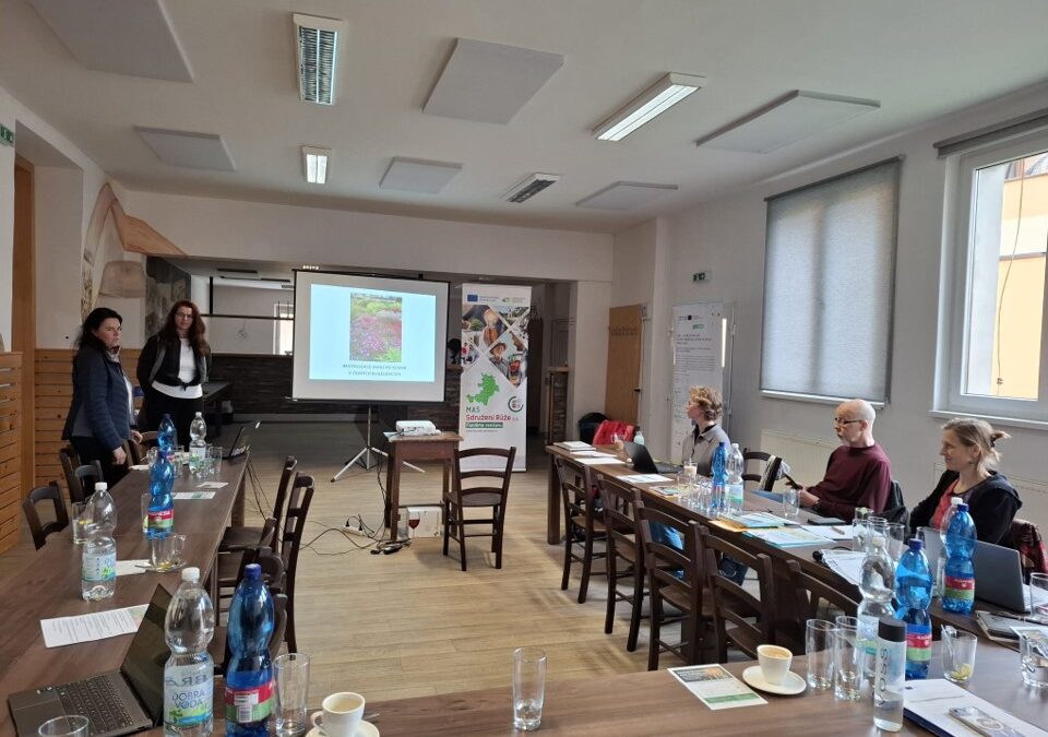 Project CONE at the workshop in Olešnice