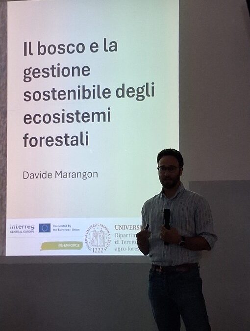 Open Day in Italy