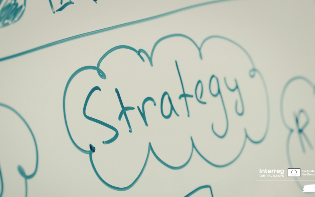 Exploring S3 strategies for sustainable growth