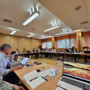 CURIOST Project Meeting #5 in Pécs