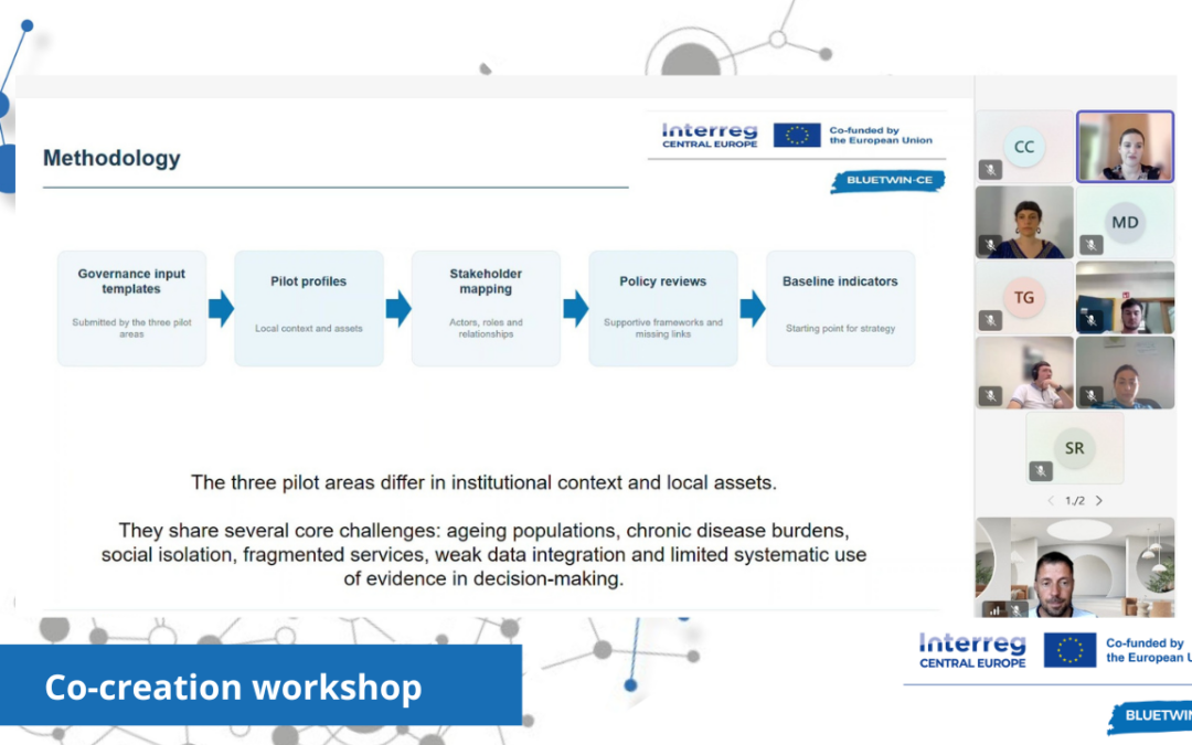 First online co-creation workshop