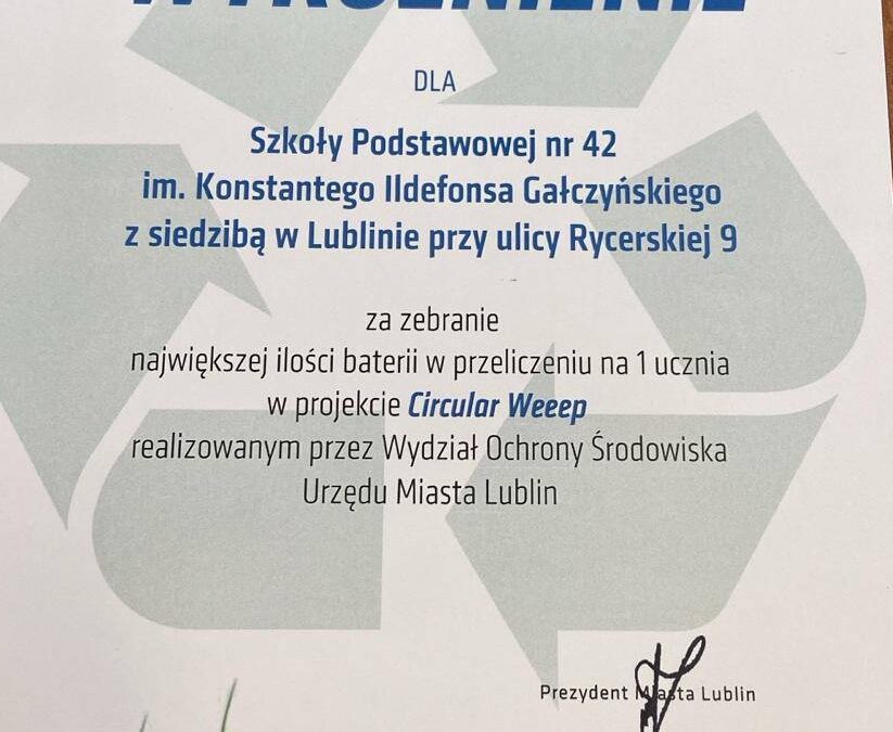 Lublin Awards Top Performers in Battery Collection under WEEE Collect Pilot Action