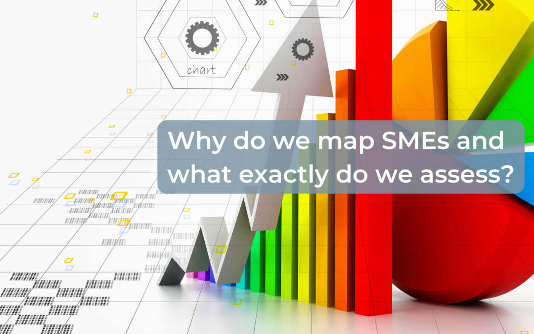 Why do we map SMEs and what exactly do we assess?