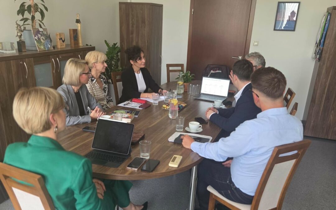 Policy meeting with Polish parliament representative