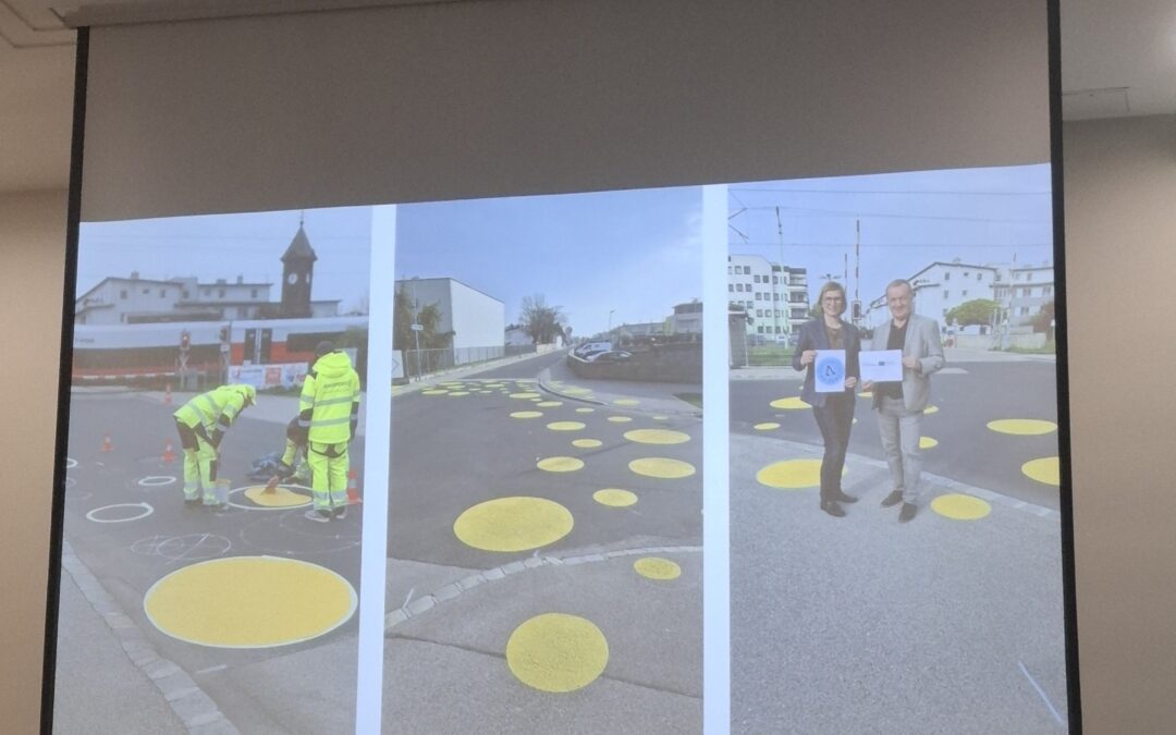 Connecting Public Transport, Cycling and Employment Areas: Insights from the 5th  Slovenian National Cycling Conference
