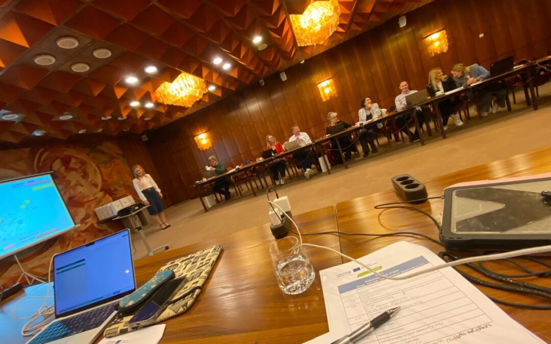 Green mobility for social services: the change is already here