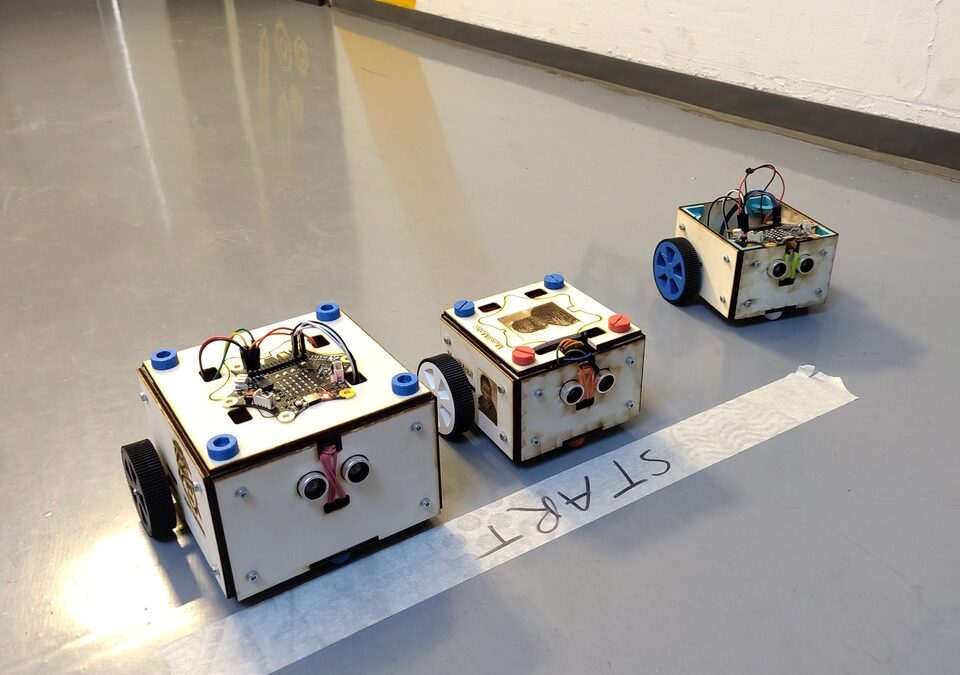 Learning the Basics of Programming in the DiSTT Workshops