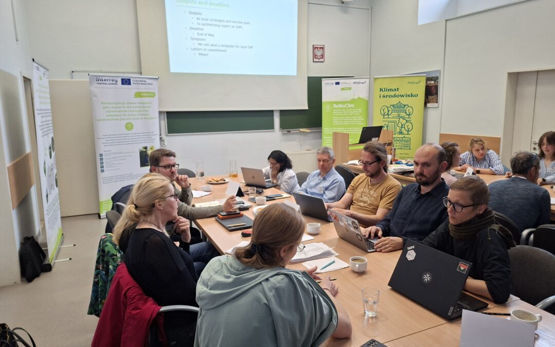 International thematic meeting of project partners in Poznań