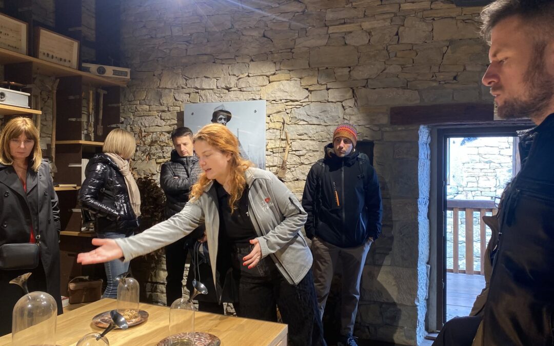 Partner meeting in Buzet, Croatia