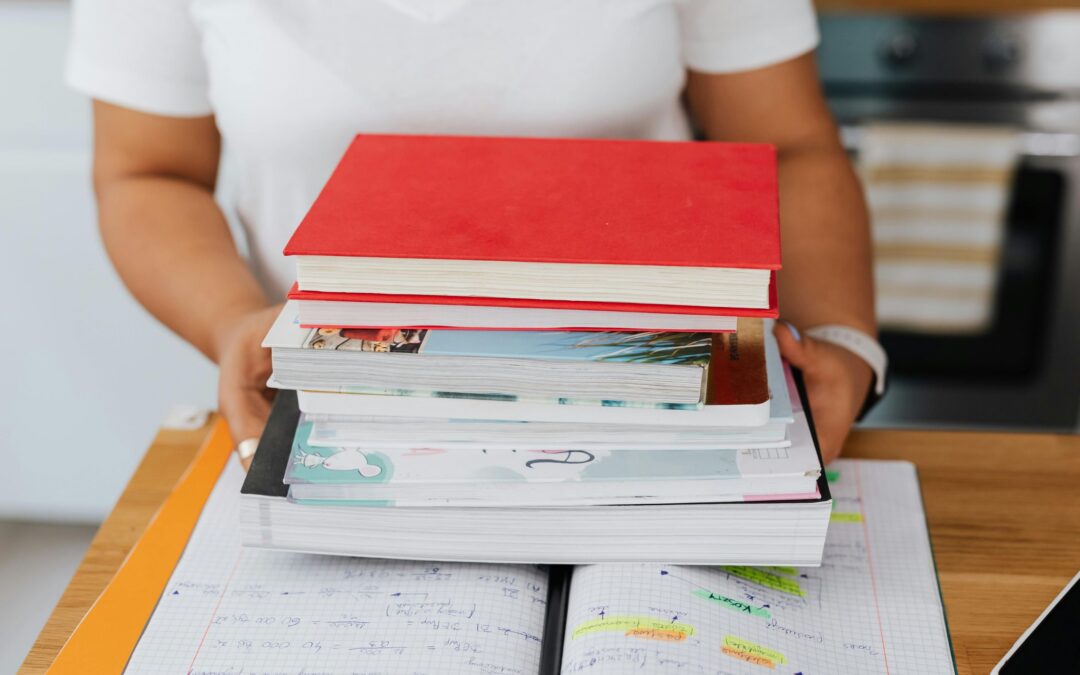 Why do we analyse school curricula?