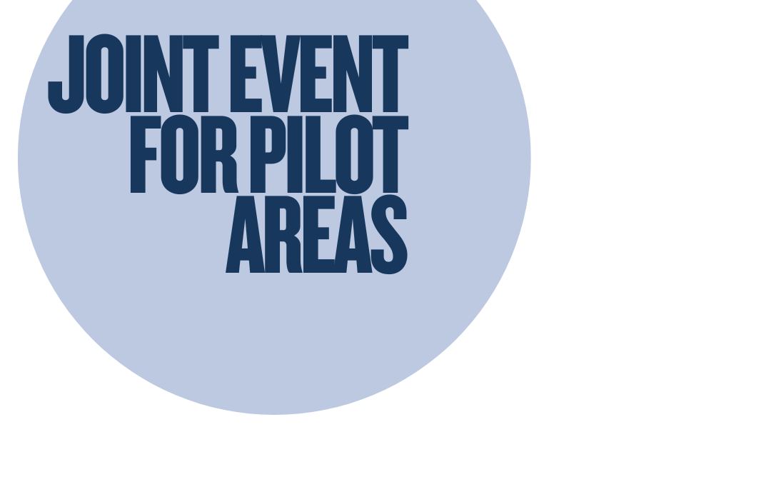 Joint event for HyEfRe’s pilot areas