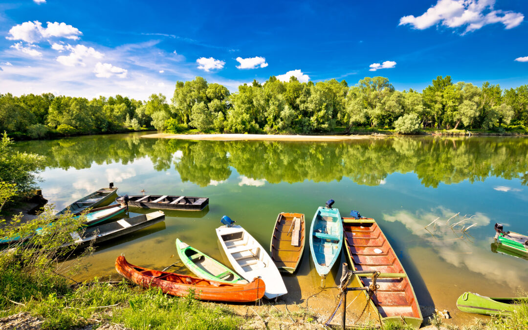 From Forest Services to Viable Green Businesses: Hungarian Stakeholders Shape the Next Steps of Pannon Future Forest