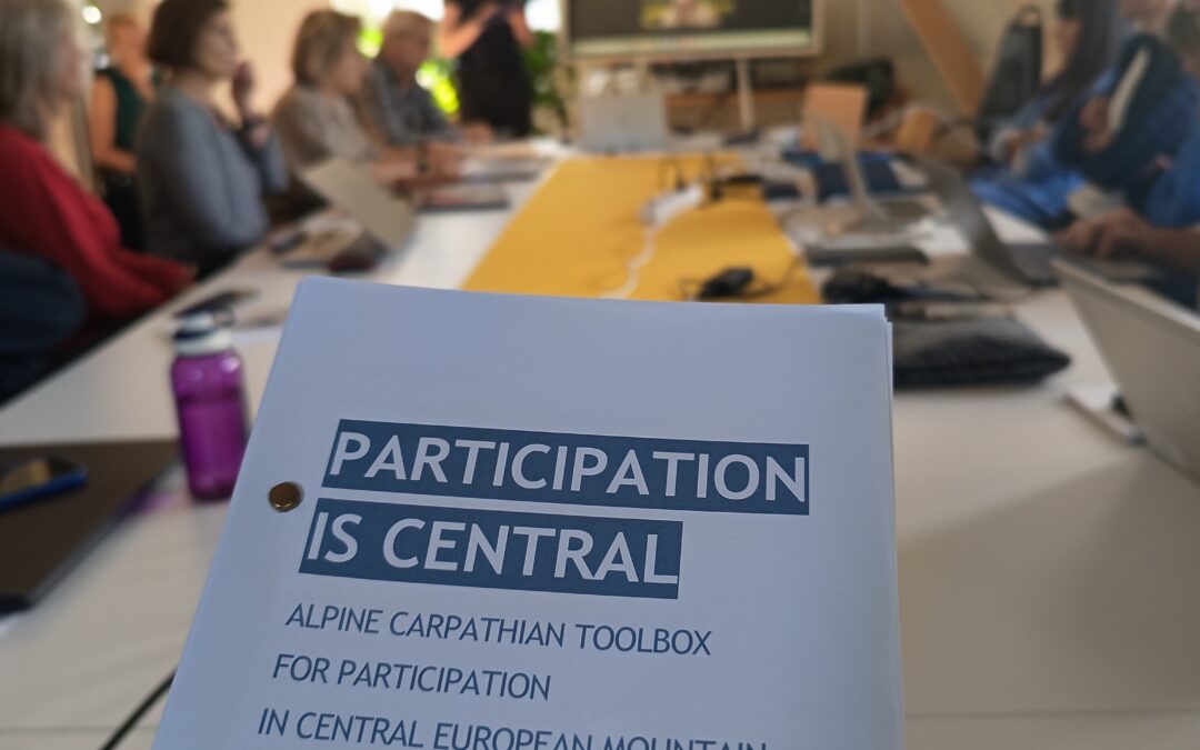 Strengthening Mountain Governance through Cross-Border Cooperation: Lessons from Feldkirch
