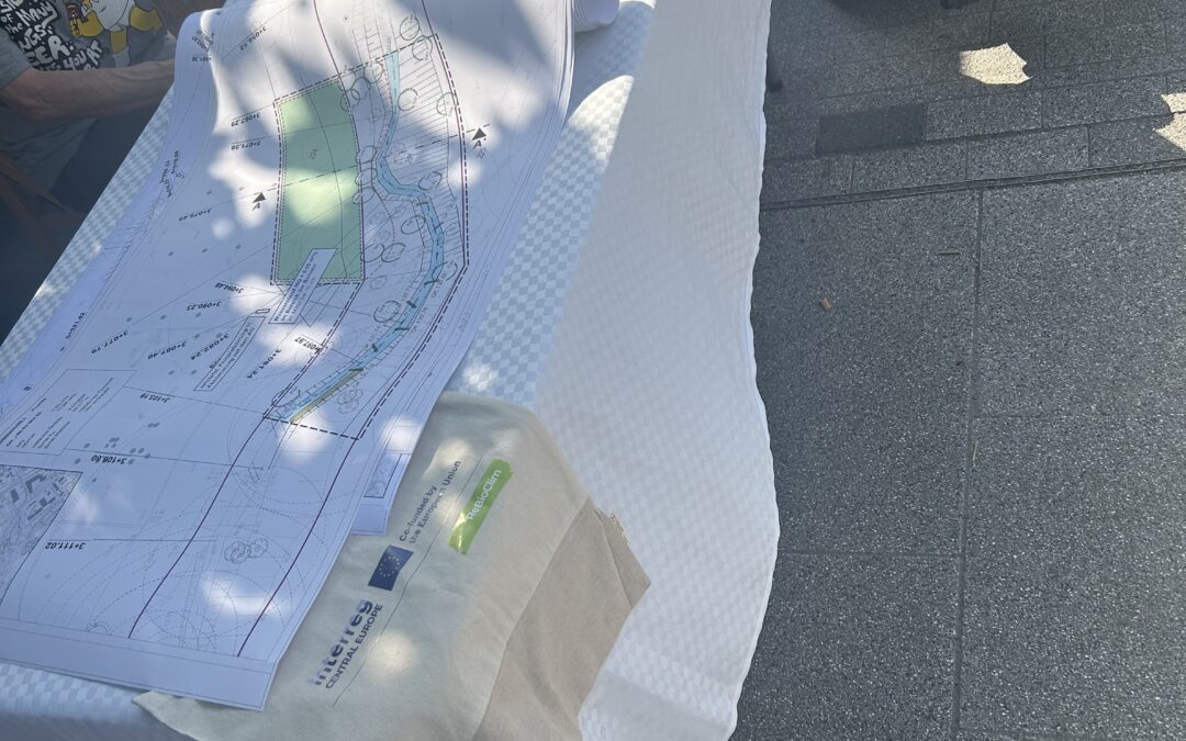 Presentation of the implementation plans in Prohlis