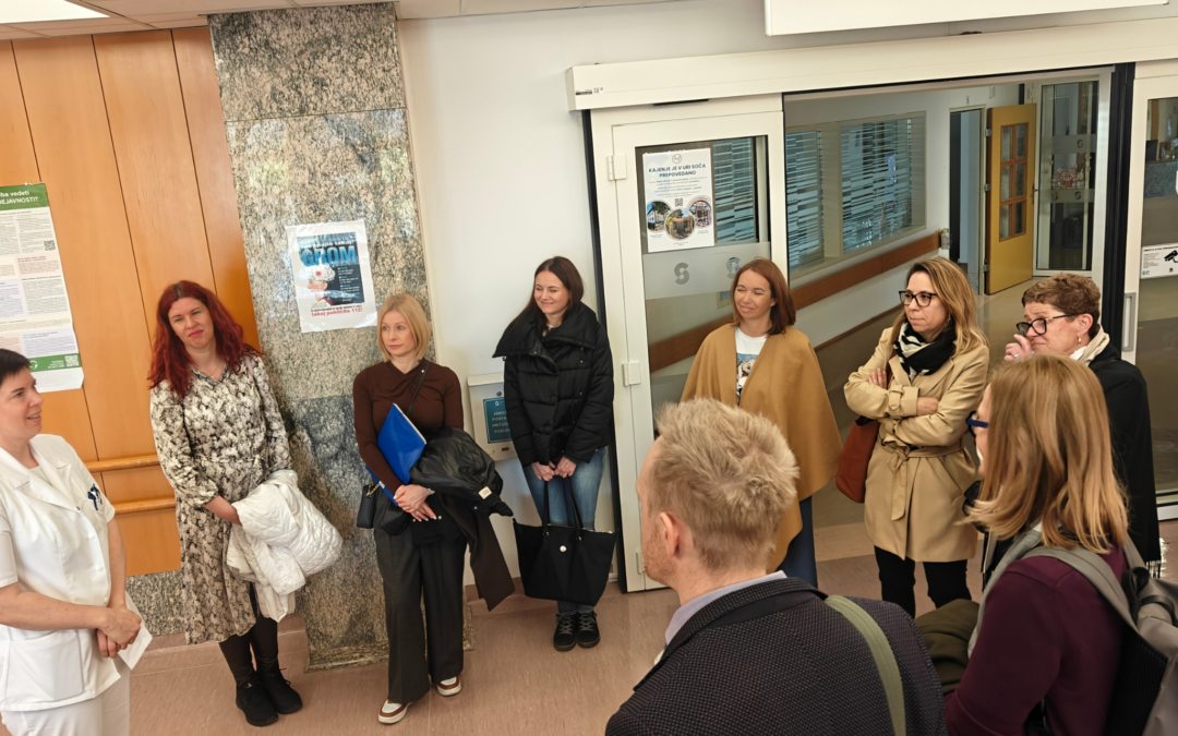 CE-VITA Kick-off Meeting in Ljubljana Highlights Need for Faster and More Coordinated Post-Stroke Rehabilitation