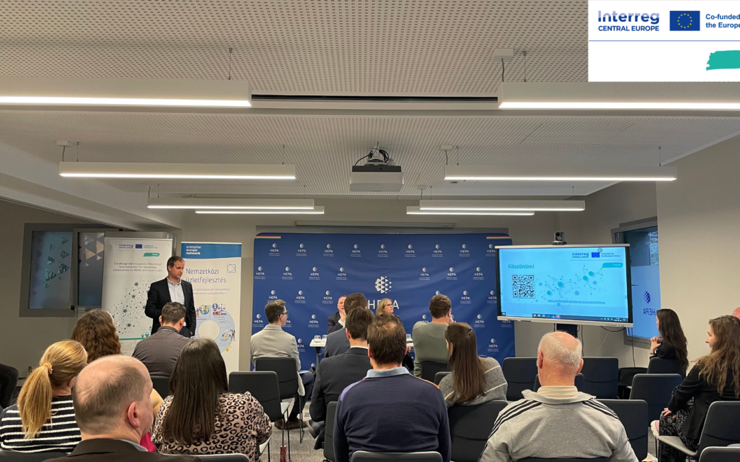 Investment Readiness Takes Centre Stage at FI4INN Dissemination Event in Budapest