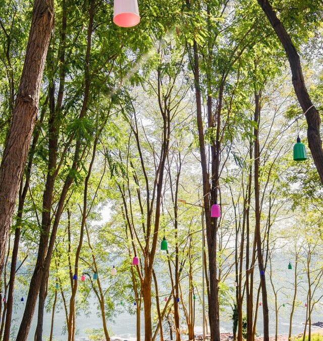Exploring New Green Economy Opportunities: Second Pannon Future Forest Knowledge-Building Workshop