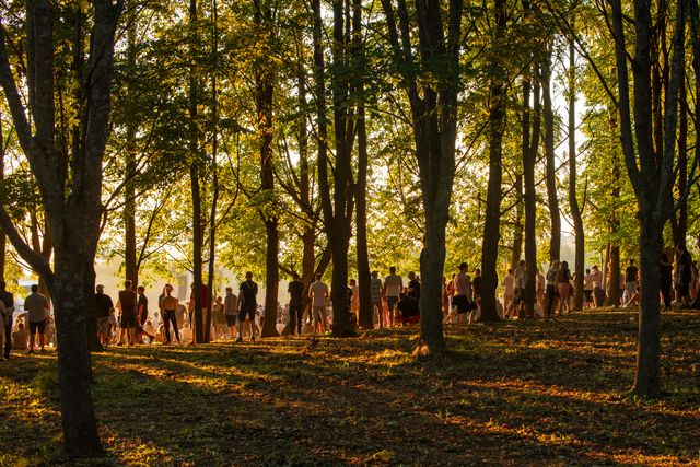From Forest Resources to Viable Green Business Ideas: Pannon Future Forest Online Knowledge-Building Workshop in Hungary