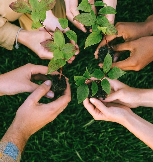 Pannon Future Forest Roadshow Coming to the University of Pécs  Pécs, Hungary — Save the date: 7 September 2026