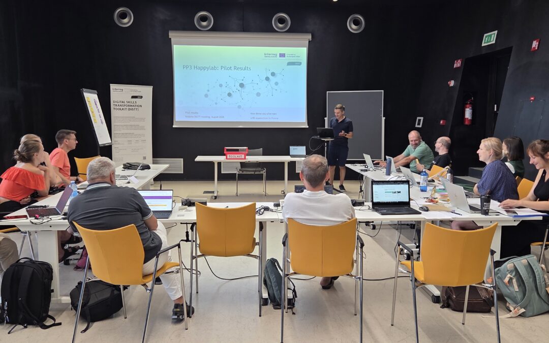 From pilots to impact: what we learned about digital skills across Central Europe