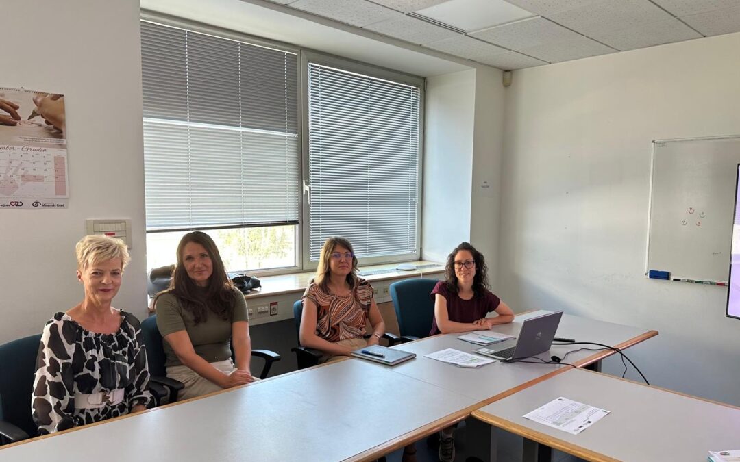 Local Workshops in Italy: Co-designing Innovative Solutions for Seniors in Faenza