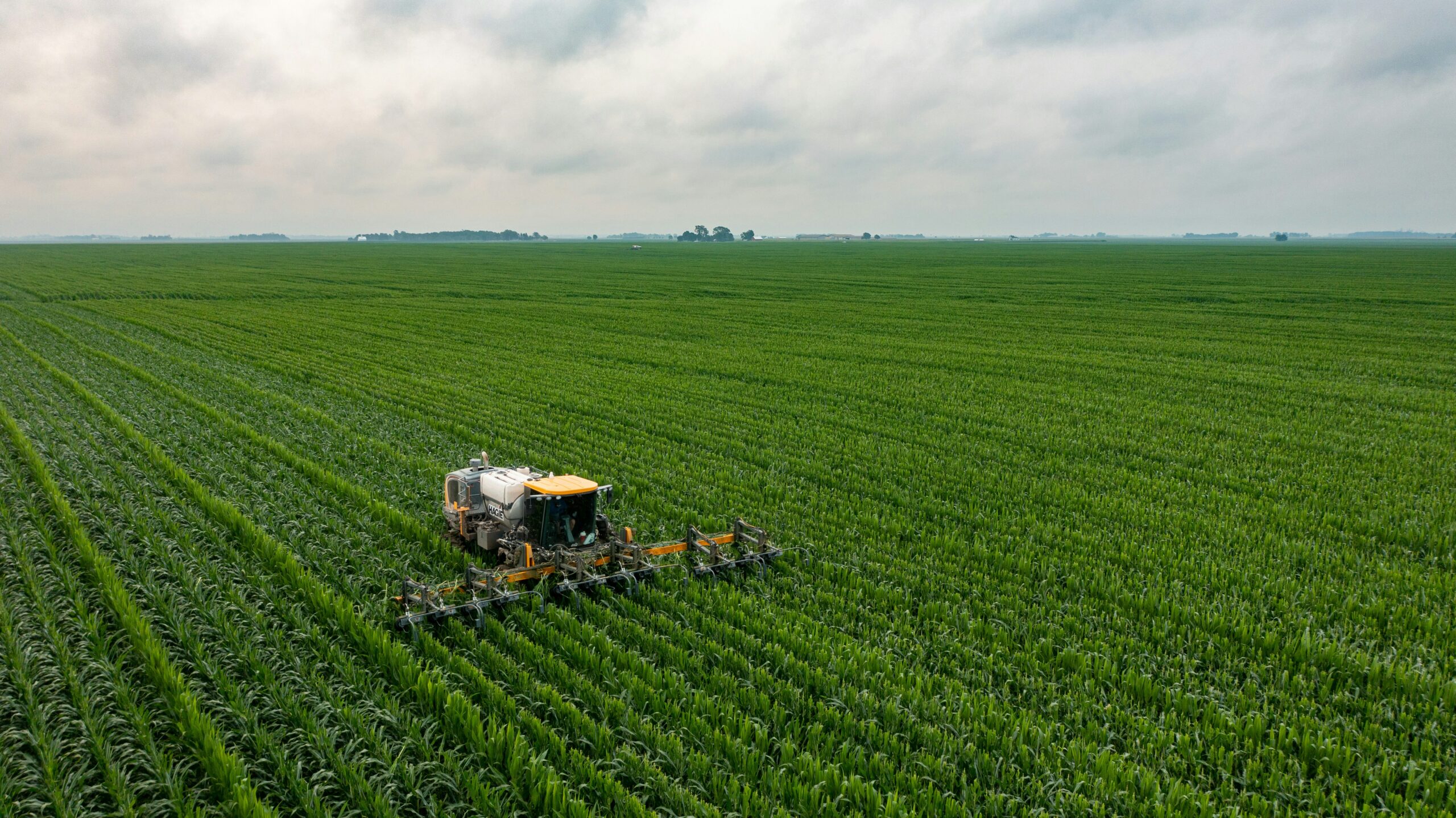 Yellow and black tractor on green grass field during daytime