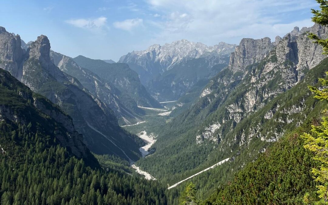 ResilienCE Call for Social Economy Enterprises operating in Carnia is open!