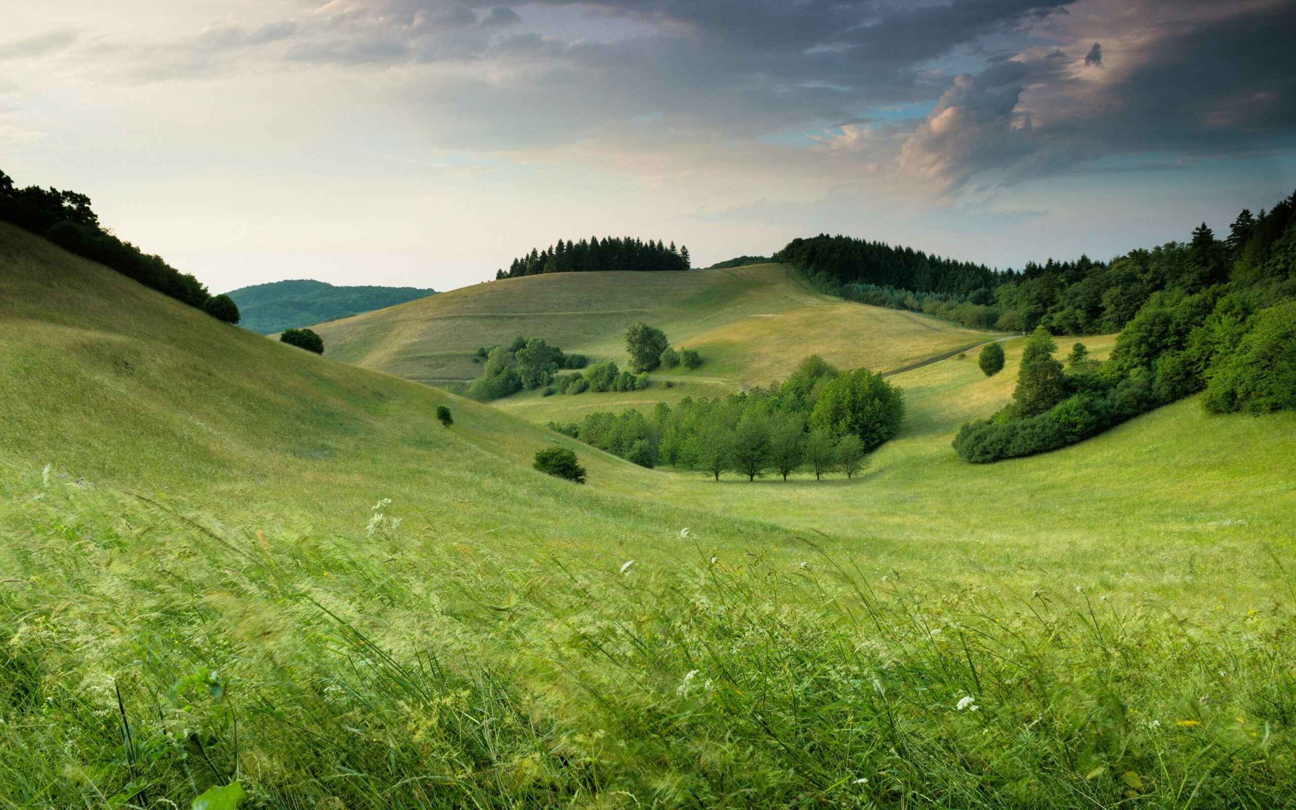 Green hills