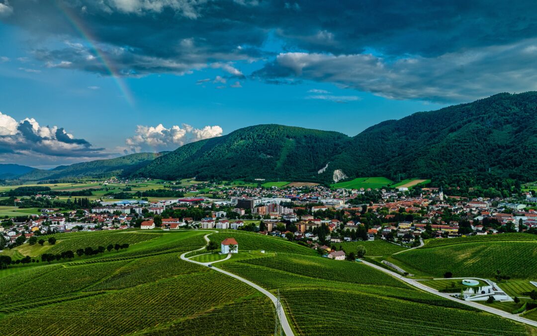 Call for Social Economy Enterprises of Savinjska Region is open