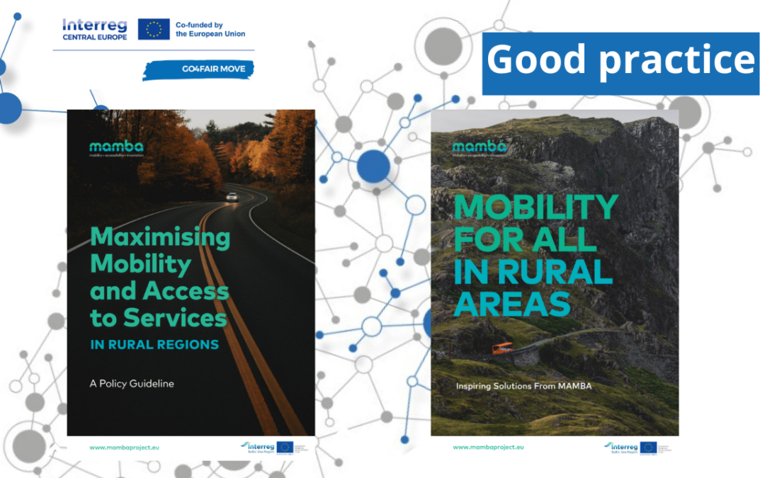 Good practices – MAMBA