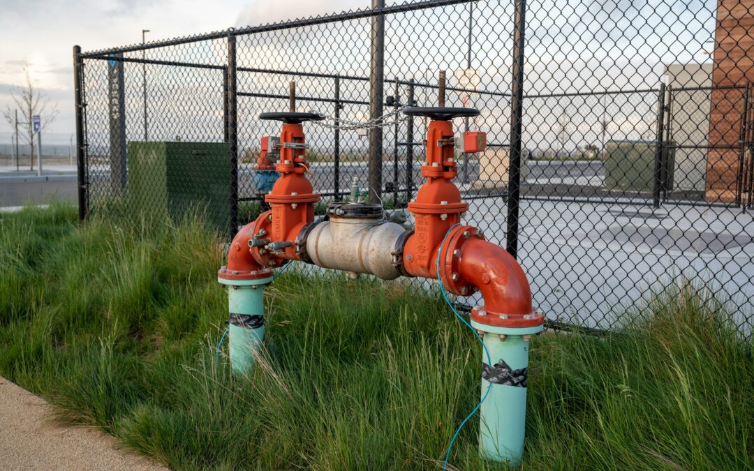 Exploring geothermal energy across borders