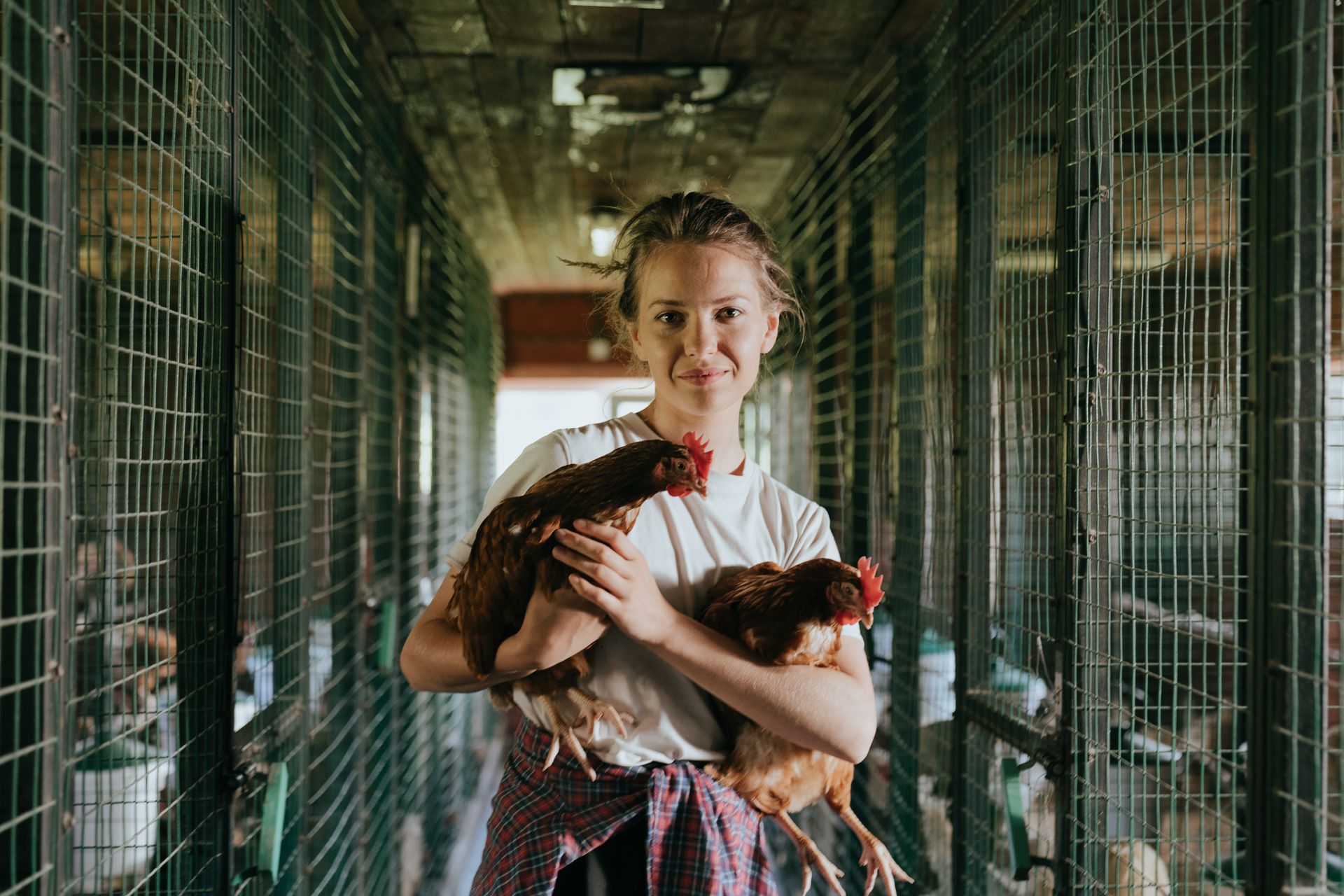 Young farmer holding chicken