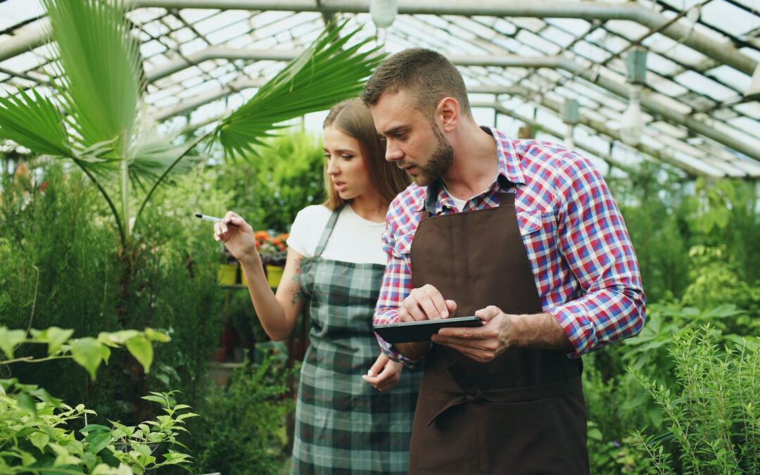 Helping local food businesses grow across borders