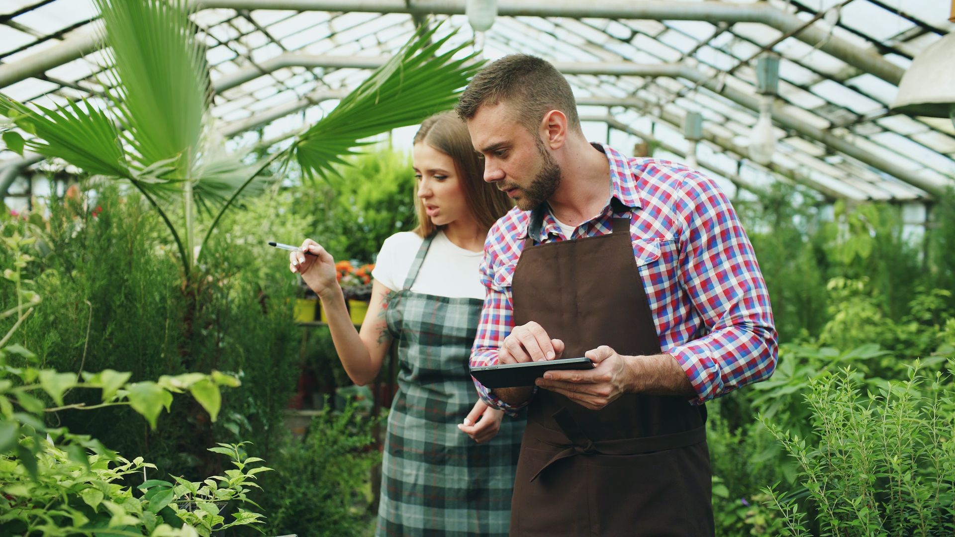 Two greenhouse workers using a tablet to inspect plants, ensuring healthy growth.