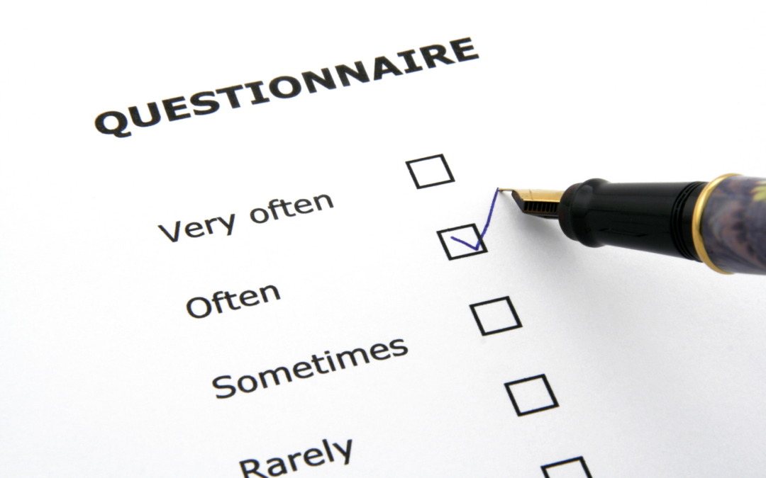 Questionnaire for SMEs developed within INNOSKILLS-CE