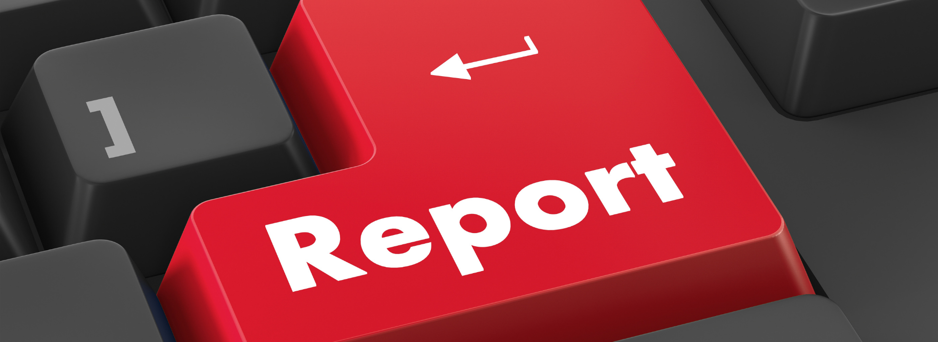 Report Concept