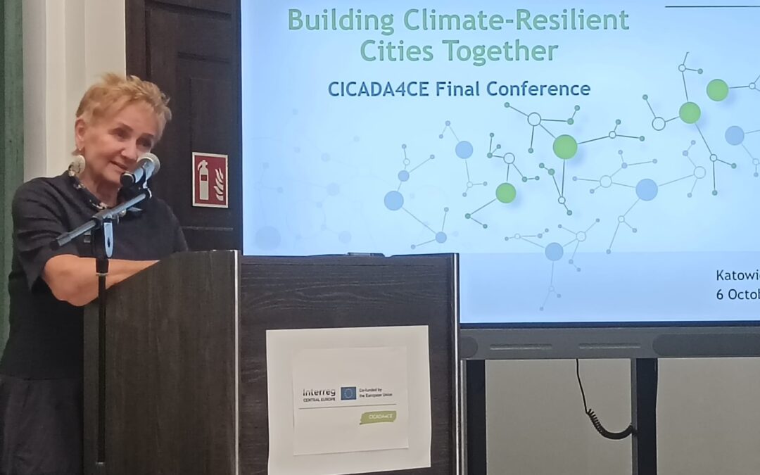 CICADA4CE Final Conference Highlights Joint Efforts for Climate-Resilient Cities